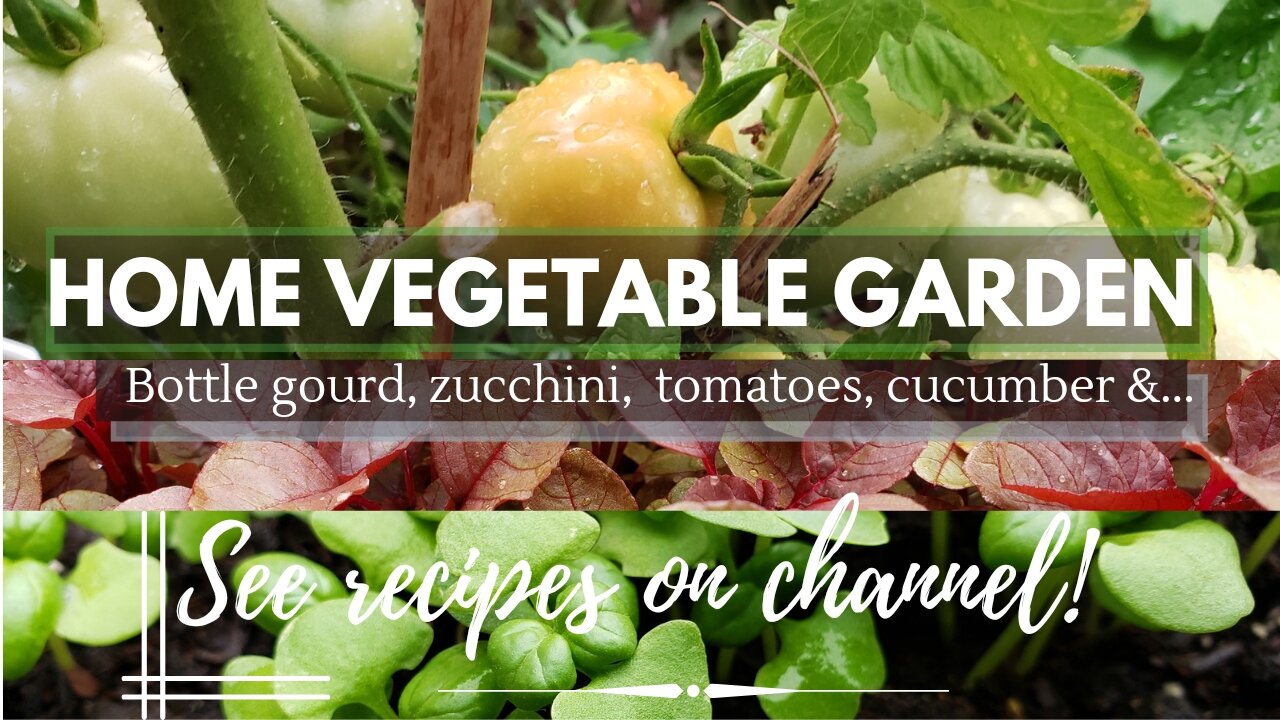 Summer Vegetable Garden | Easy Container Gardening & Compost in Place