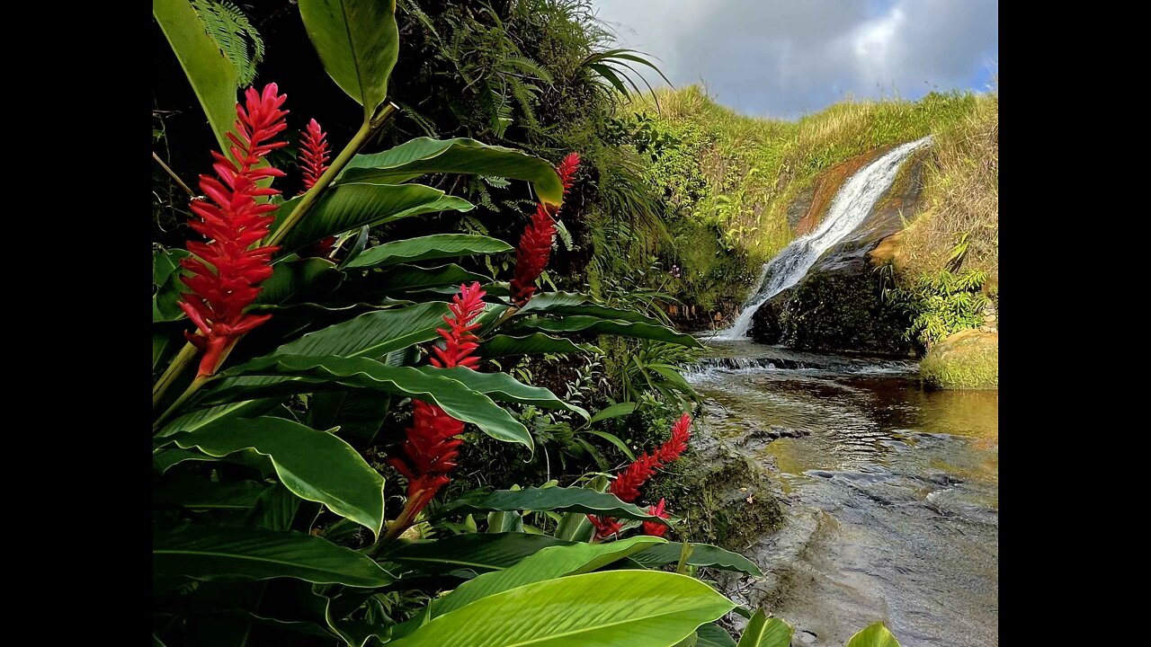 Tinago Falls & Gadao Cave