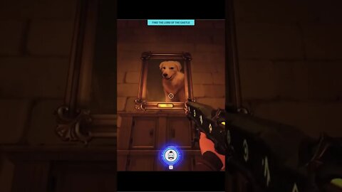 Who's A Good Boy!