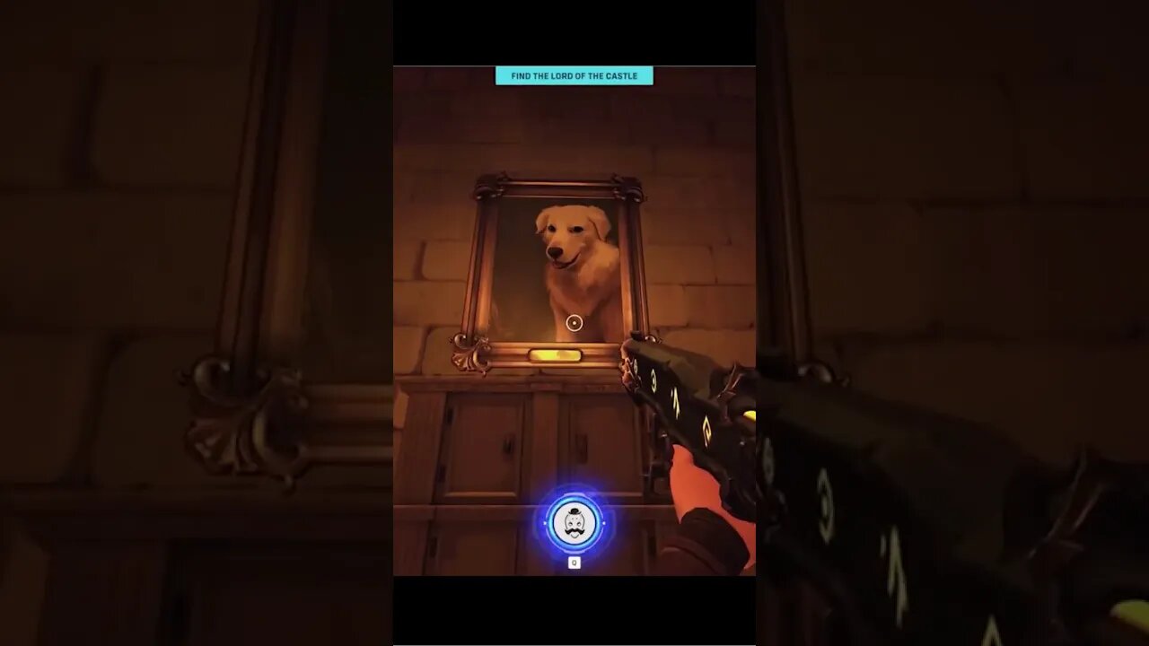 Who's A Good Boy!