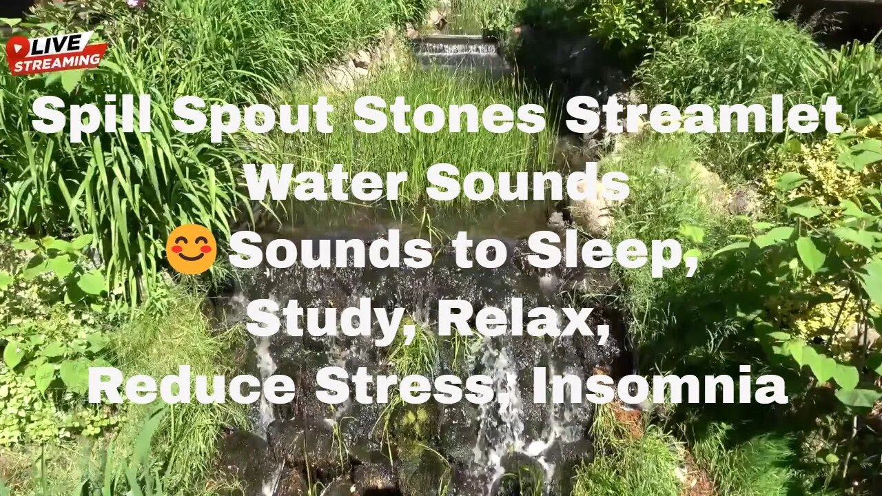 Spill Spout Stones Streamlet Water Sounds 😊Sounds to Sleep, Study, Relax, Reduce Stress, Insomnia