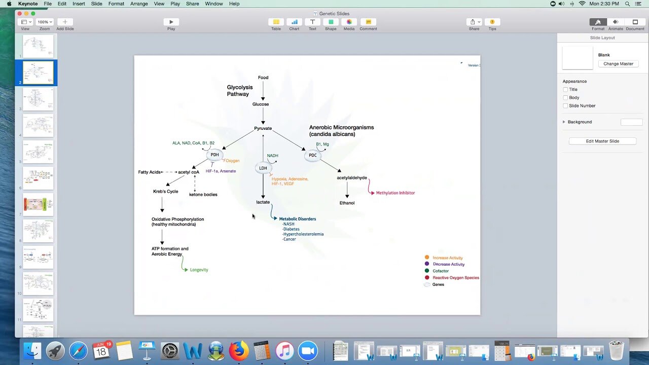 Cancer Genes - Section 2 - Energy Genes | Dr. Kevin Conners - Conners Clinic