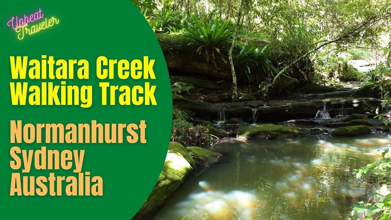 Waitara Creek Walking Track