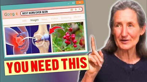 Barbara O'Neill’s POWERFUL Healing Secret | Why This Herb Is BANNED Everywhere But CURES Everything