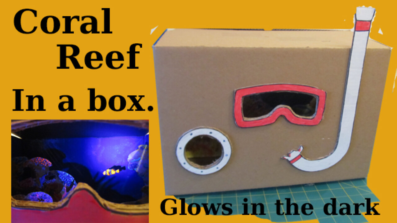 Make a Coral Reef in a Cardboard Box