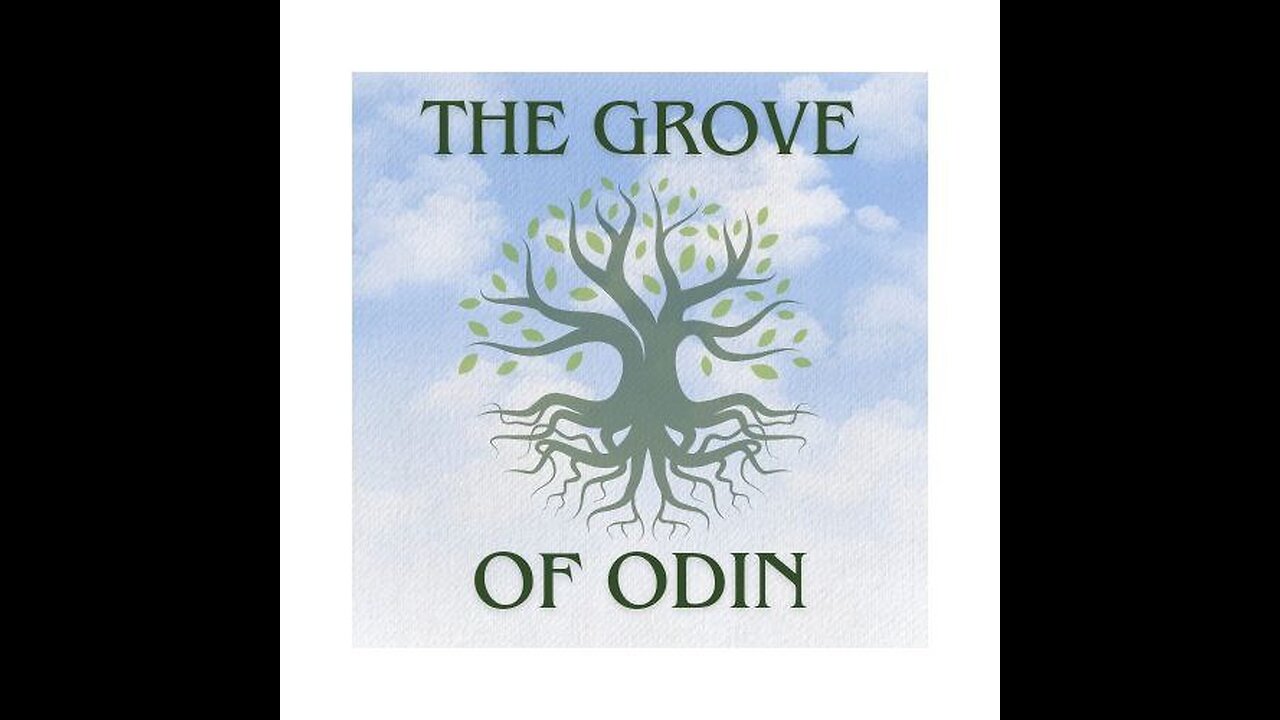 The Grove Of Odin - # 1, Dueling Pagan Ministers ???