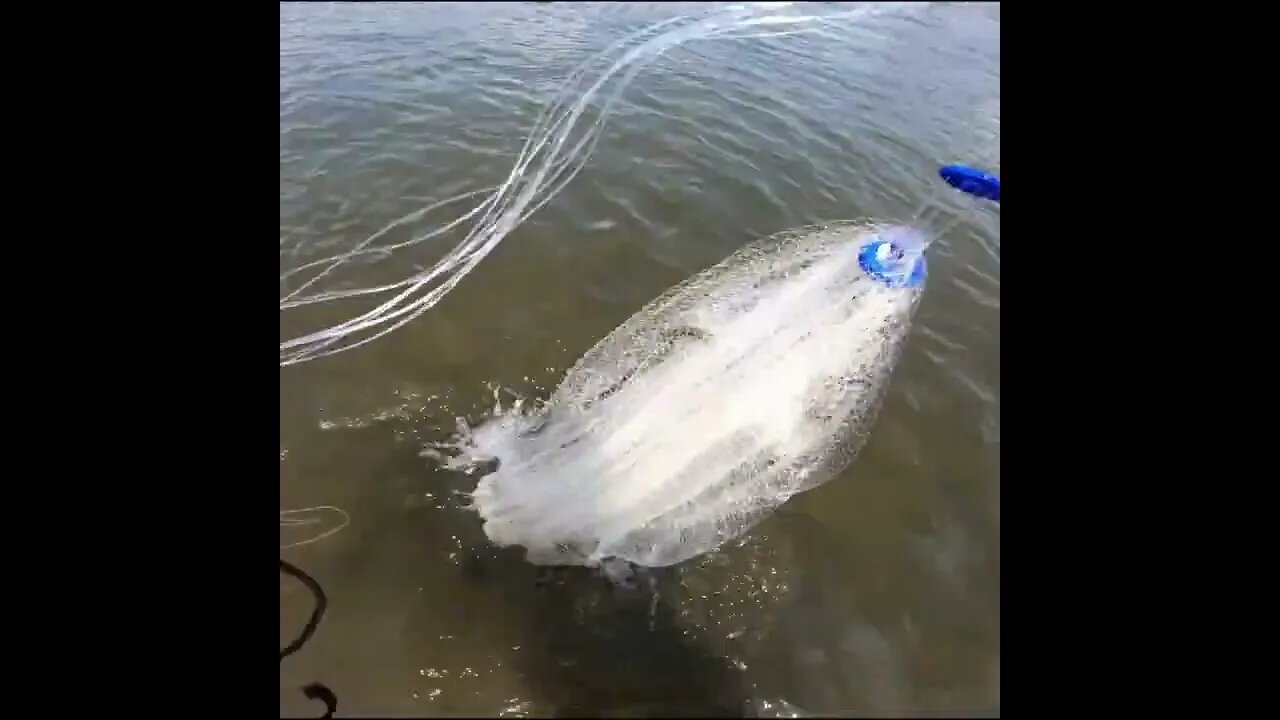 cast netting the river