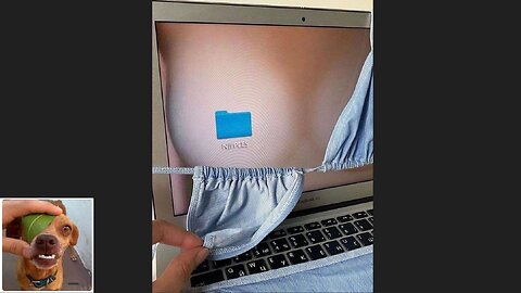 Memes That Will 99.977% Make You Laugh. (e202)
