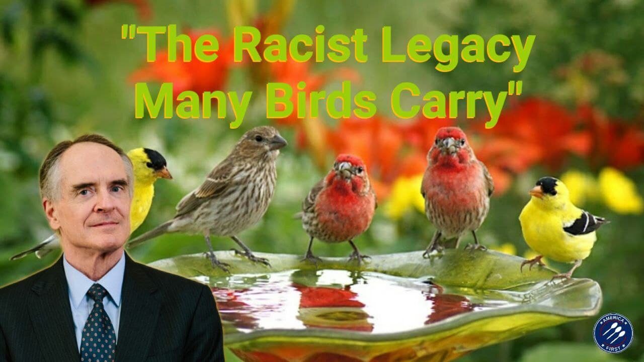 Jared Taylor || "The Racist Legacy Many Birds Carry"