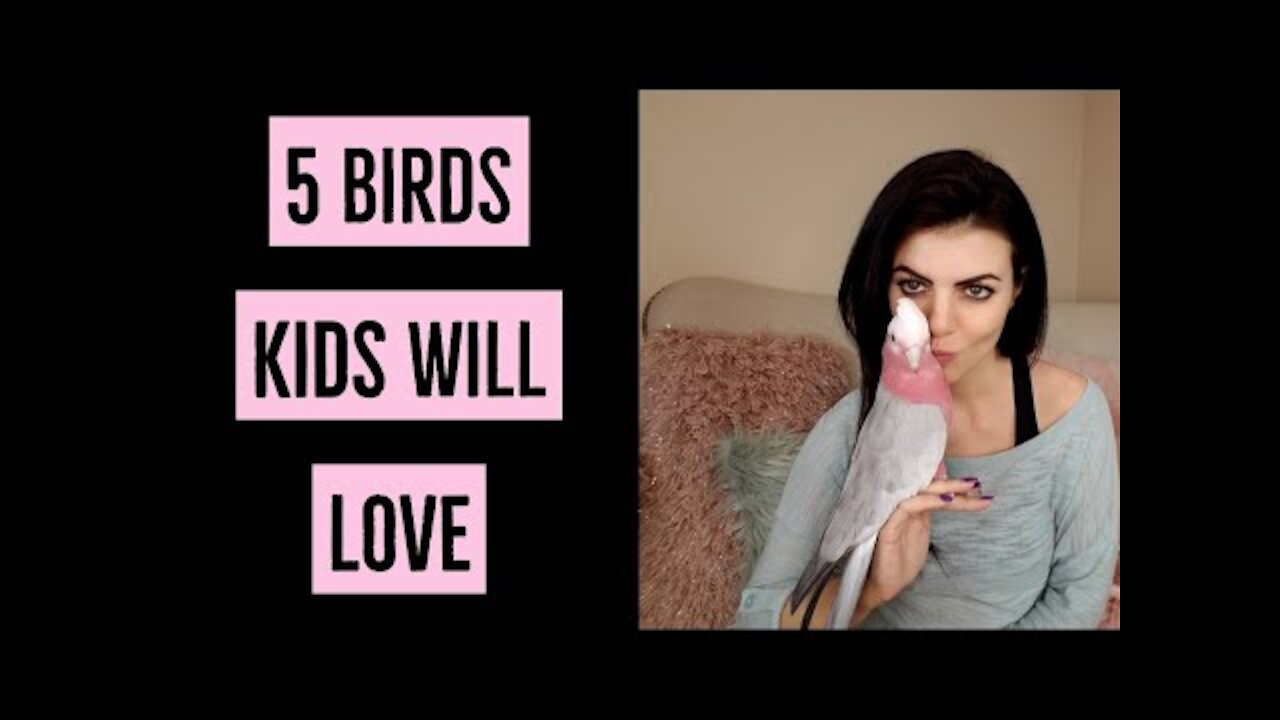 Kids loved 5 Parrot. PARRONT TIP TUESDAY