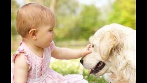 cute babies with their pets