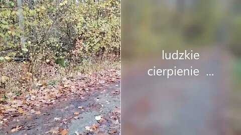 ludzkie cierpienie ...