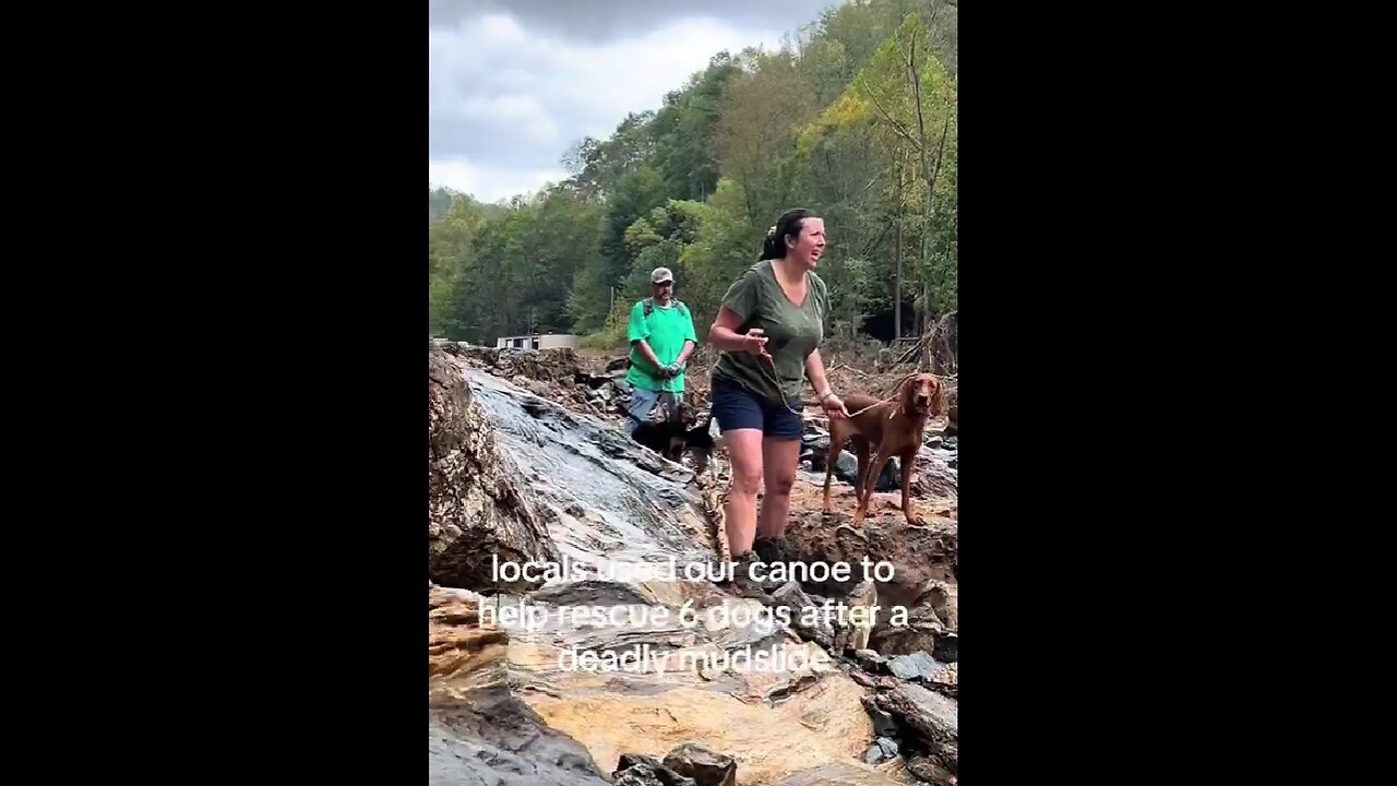 Civilians rescuing dogs after Hurricane Helene — Biden will claim it was his canoe