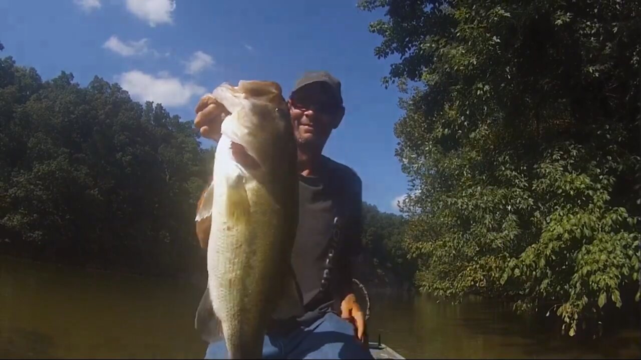 Bass attack on the Nolichucky River