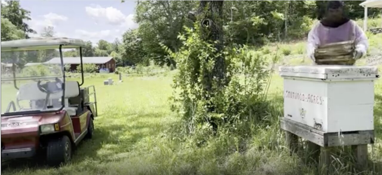 Wes Adds Honey Frames and Runs Into Trouble With an Aggressive Hive 😳