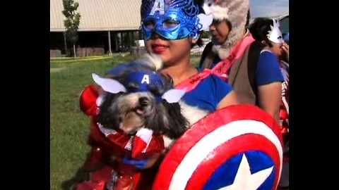 Animal Avengers!