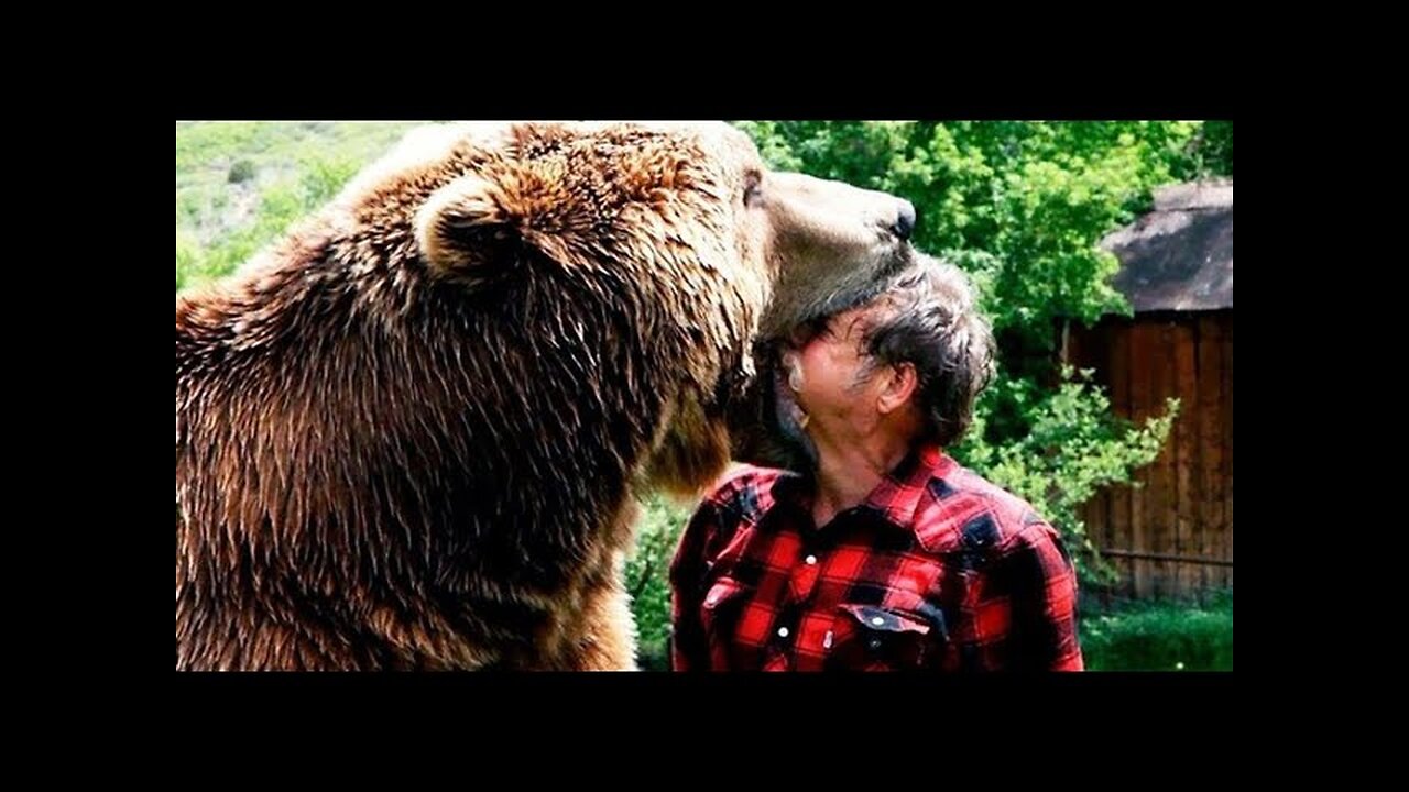 Funny animal attack. 99% try very hard to not laugh.