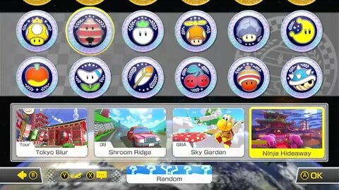 Mario kart 8 Deluxe with viewer 5/13/22