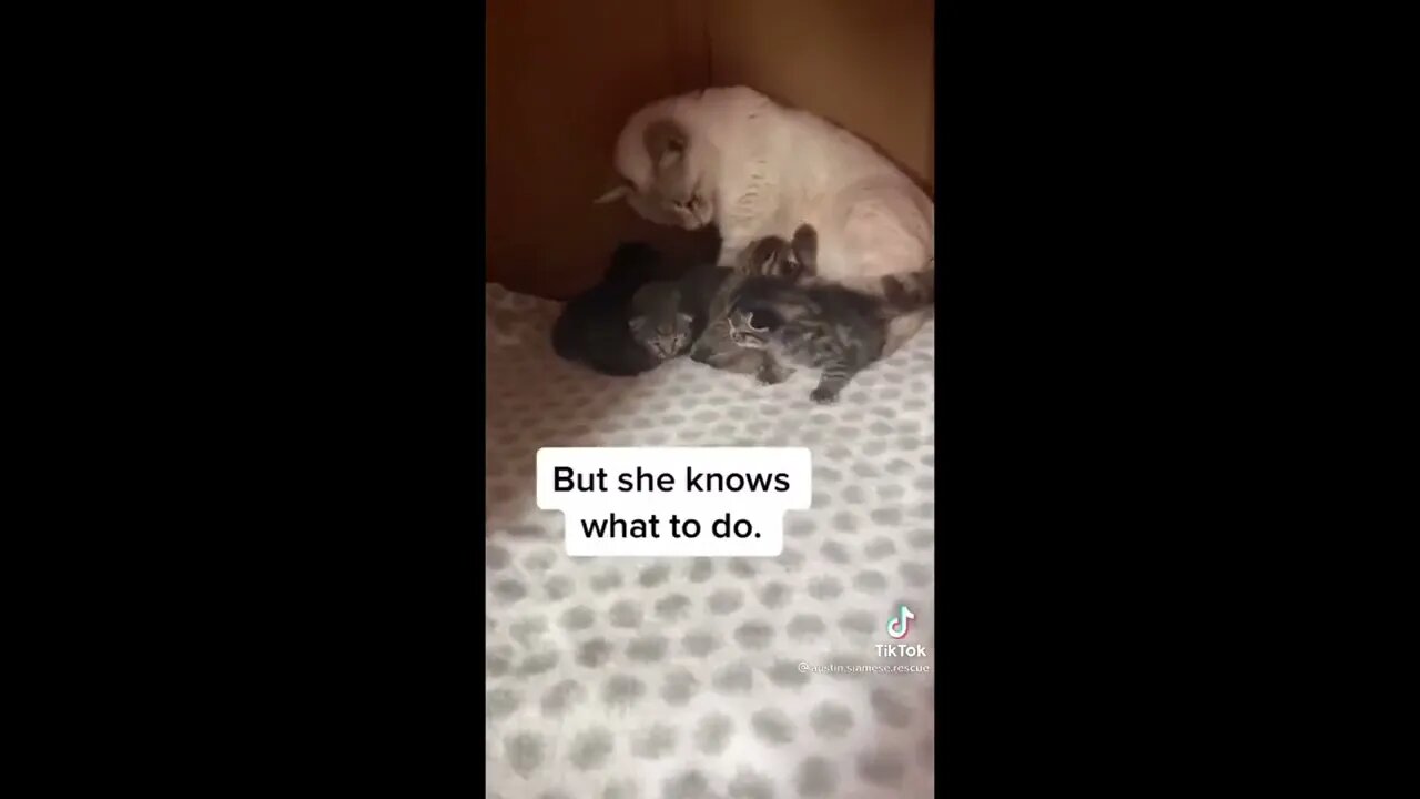 I’ll be your mom now