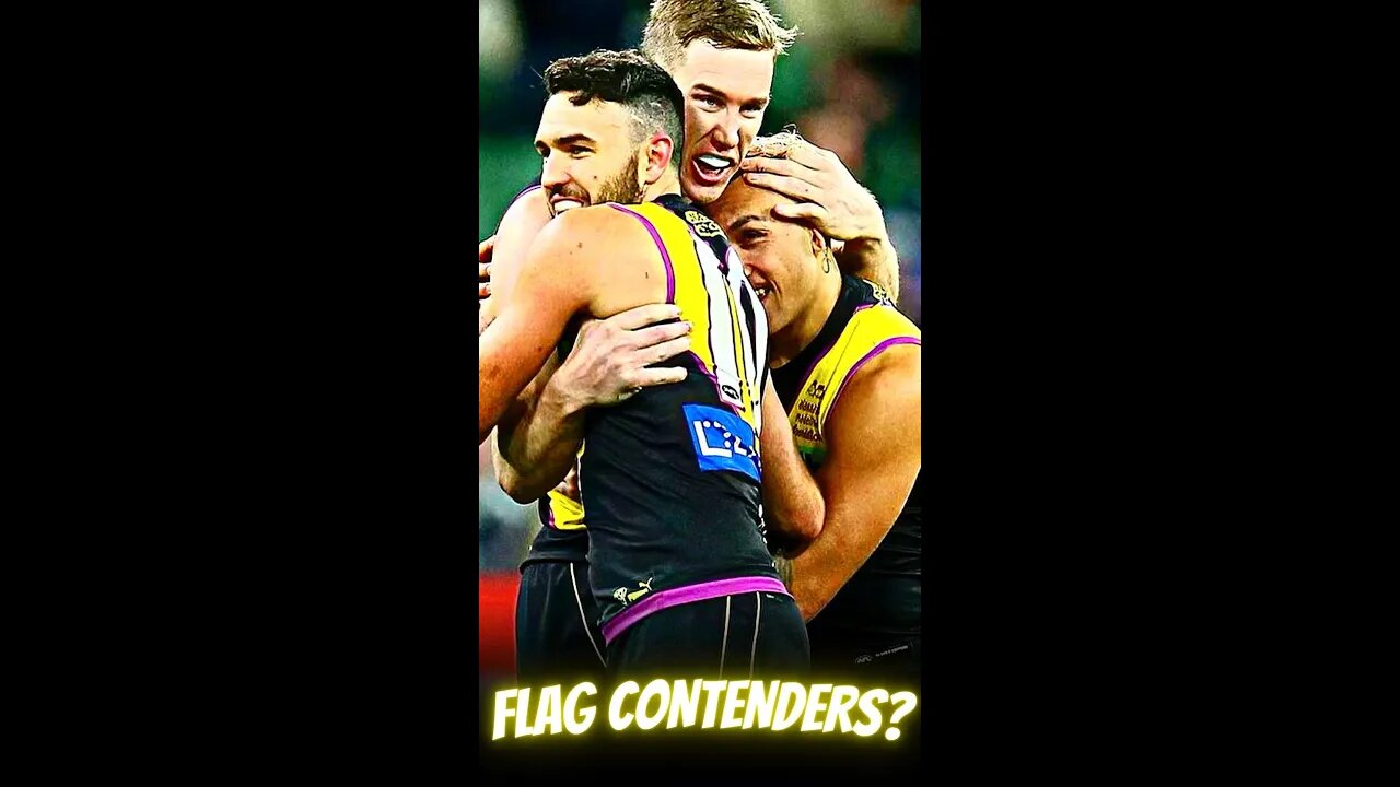 The Richmond Tigers Are Flag Contenders #afl #shorts #richmondtigers #richmond