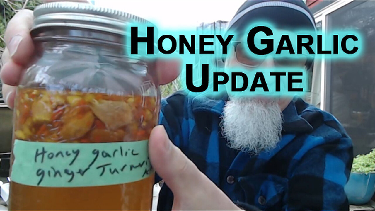 Honey Garlic Update—See Links in Description for Recipe and Previous Update [ASMR]