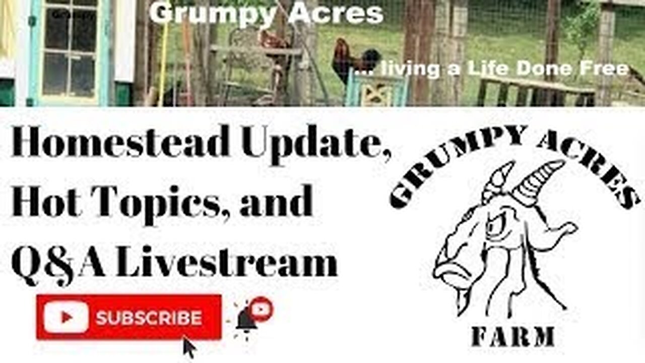 Homestead Update Live Stream: Self Reliance Festival reflections and chat