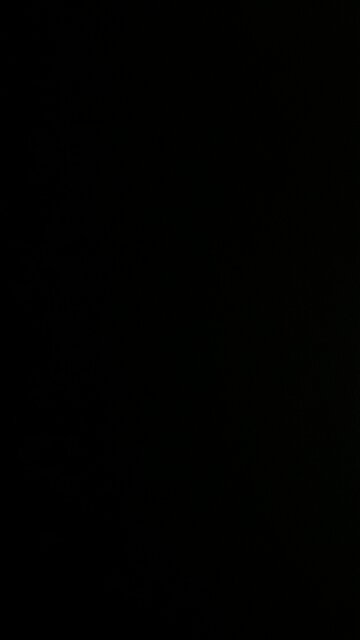 The transgender groomers