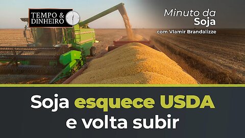 Soja esquece USDA e volta subir