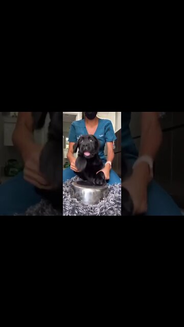 Shaman doing drumming circle , # short