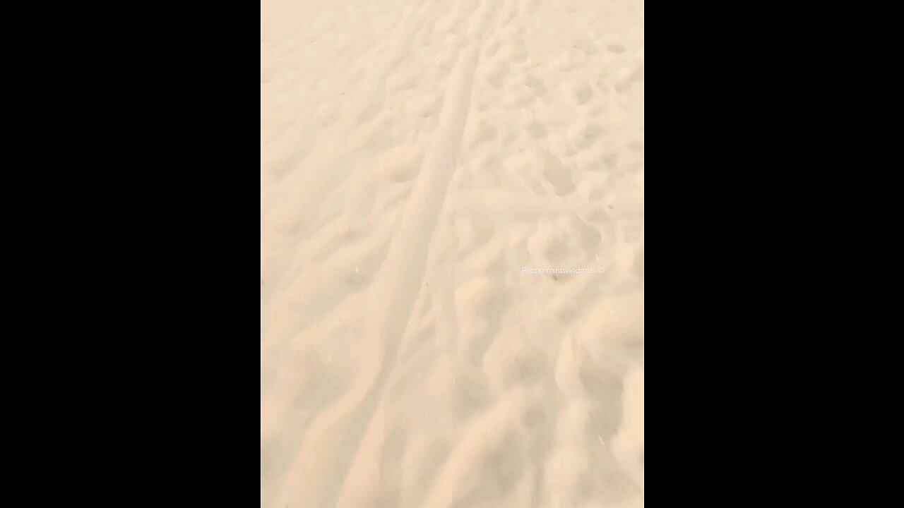 A relaxing stroll through the sand at the ocean beach 🏖️☀️ 🐚