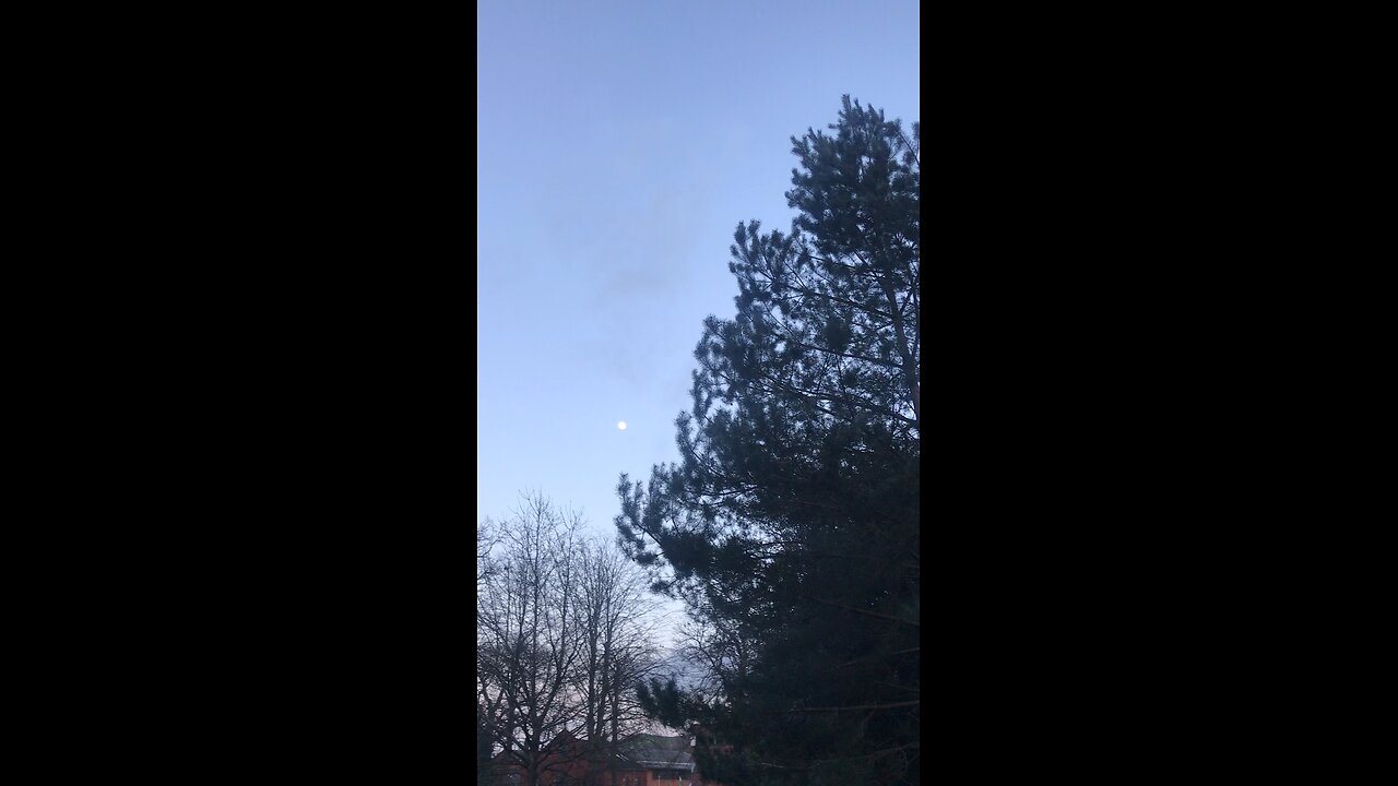 Moon and Crows 🏴 22/03/2023