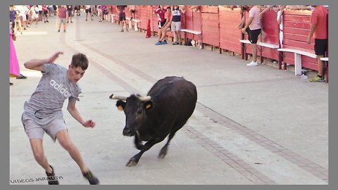 CADREITA ( NAVARRA ) TARDE VACAS EN CALLE ( JUEVES 20 JULIO 2023 ) GANAD.BRETOS FERNANDEZ