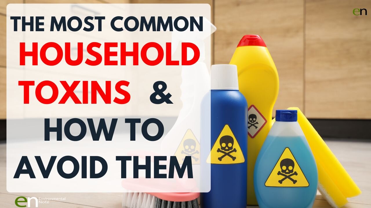 The Most Common Household Toxins and How to Avoid Them