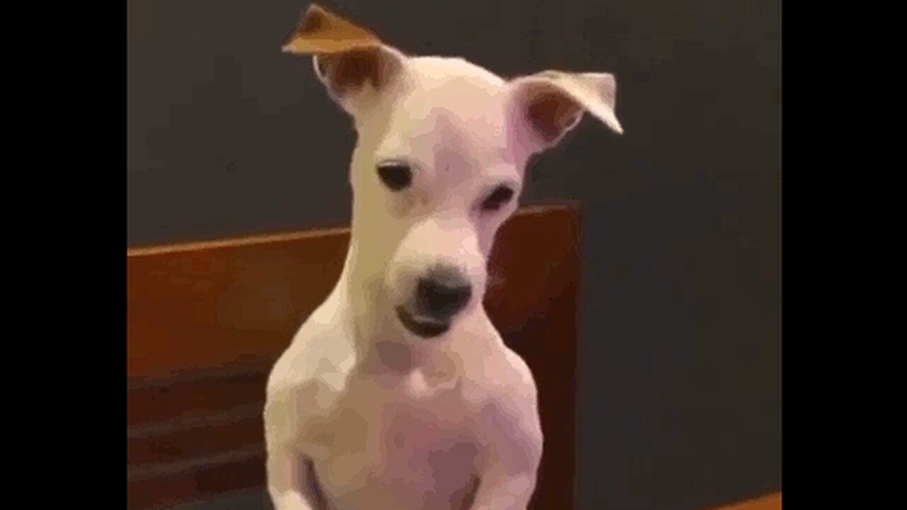 Dude, what do you take me for?