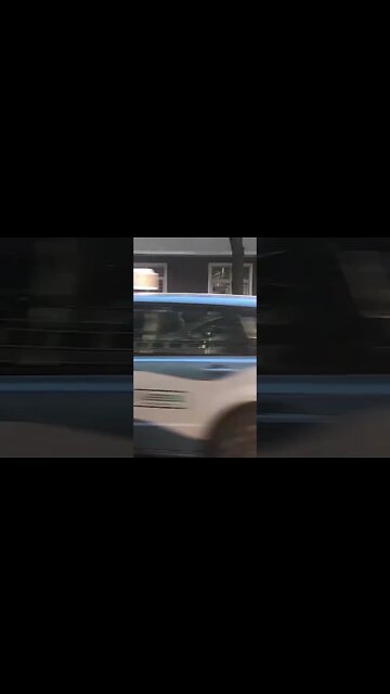 The Dog wanna be a human 😂😂😂😂