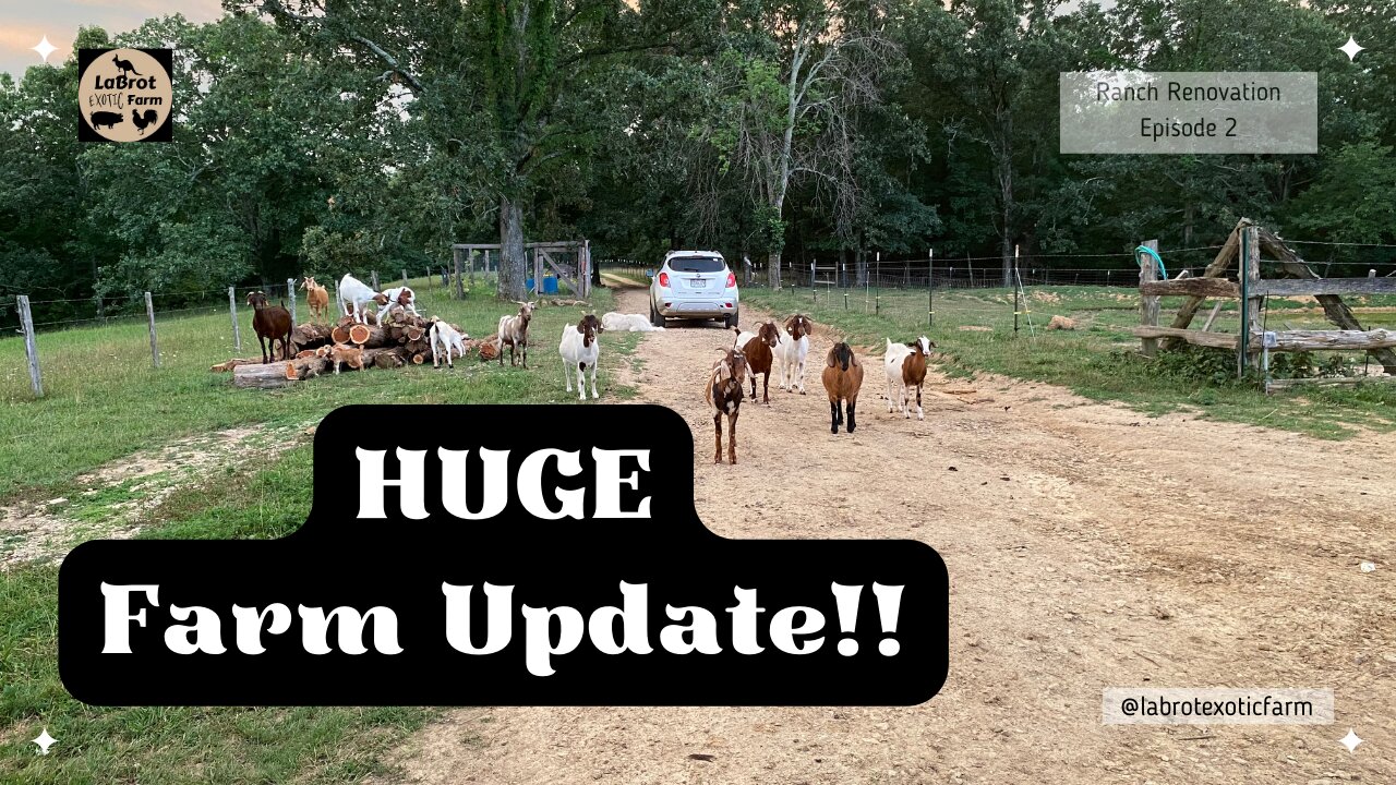 FARM UPDATE! (LOTS of plans for the new year!!)