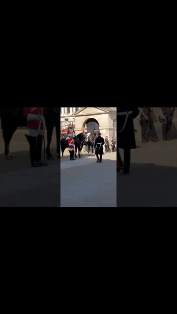 inspection of the Horse Guards #horseguardsparade