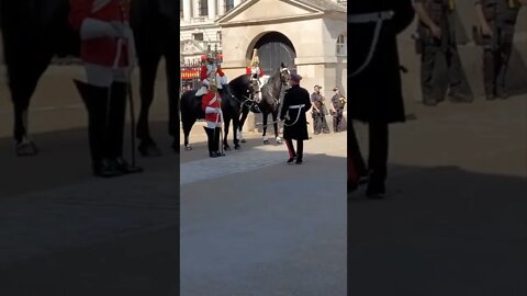 inspection of the Horse Guards #horseguardsparade