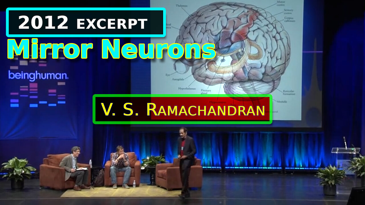 V.S. Ramachandran - 2012 - Mirror Neuron Effect