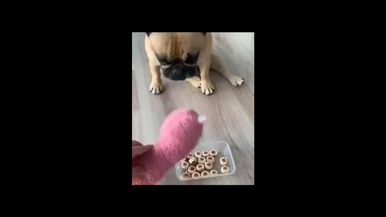 🤣