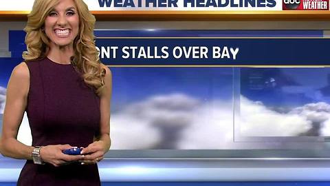 Action Weather Forecast