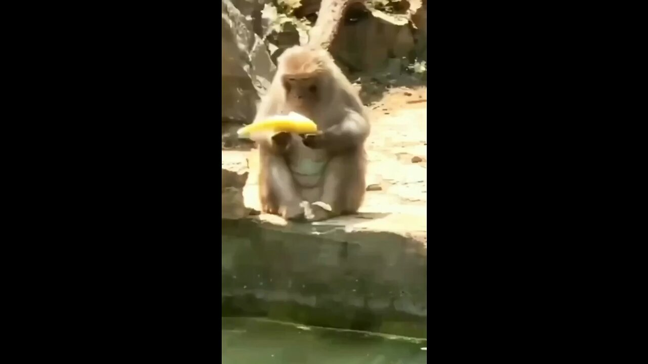 When you have a bad day