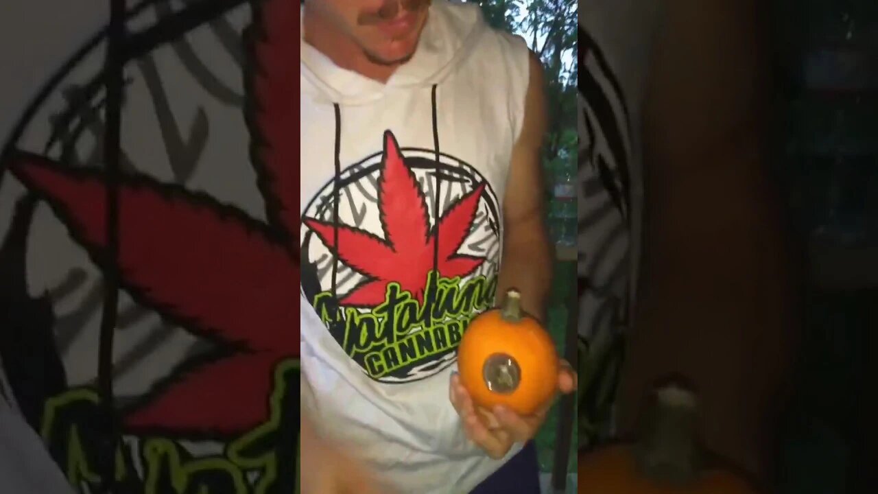 cataluna cannabis 420 clothing Pumpkin bong review in hawaii #420Islandlife