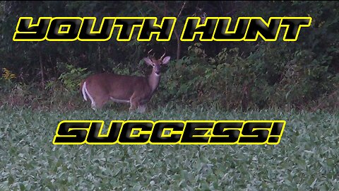 Michigan Youth Hunt Success with a .350 Legend