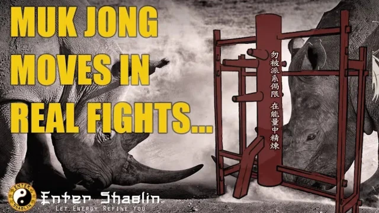 Wing Chun Training | 116 or 108 Wooden dummy movements? | Muk Jong Moves In Real Fights & More