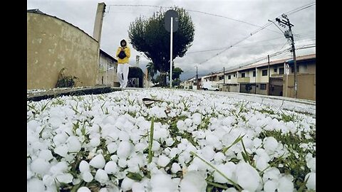 AS PRAGAS SE ESPALHAM NO MUNDO