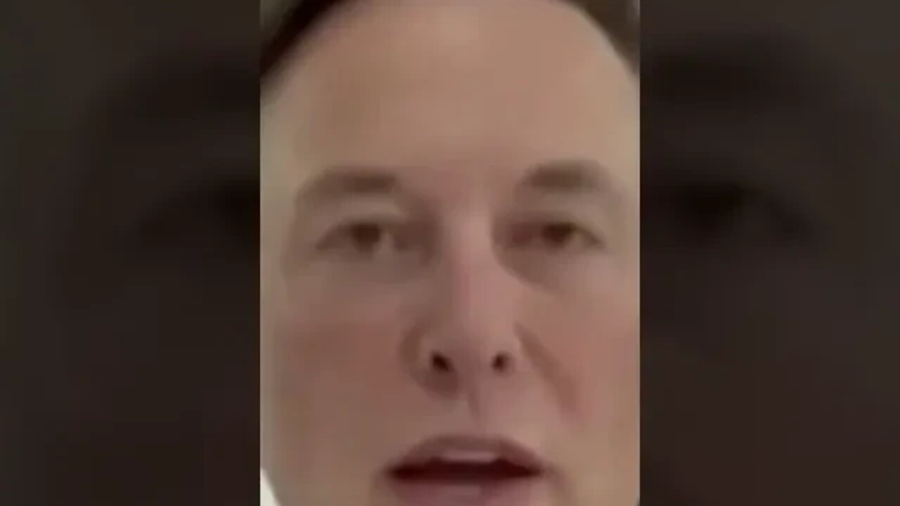 Elon Musk Triggering