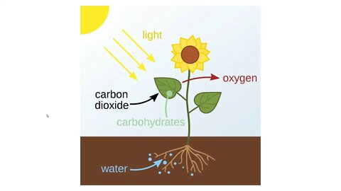 You Can't Fool Mother Nature