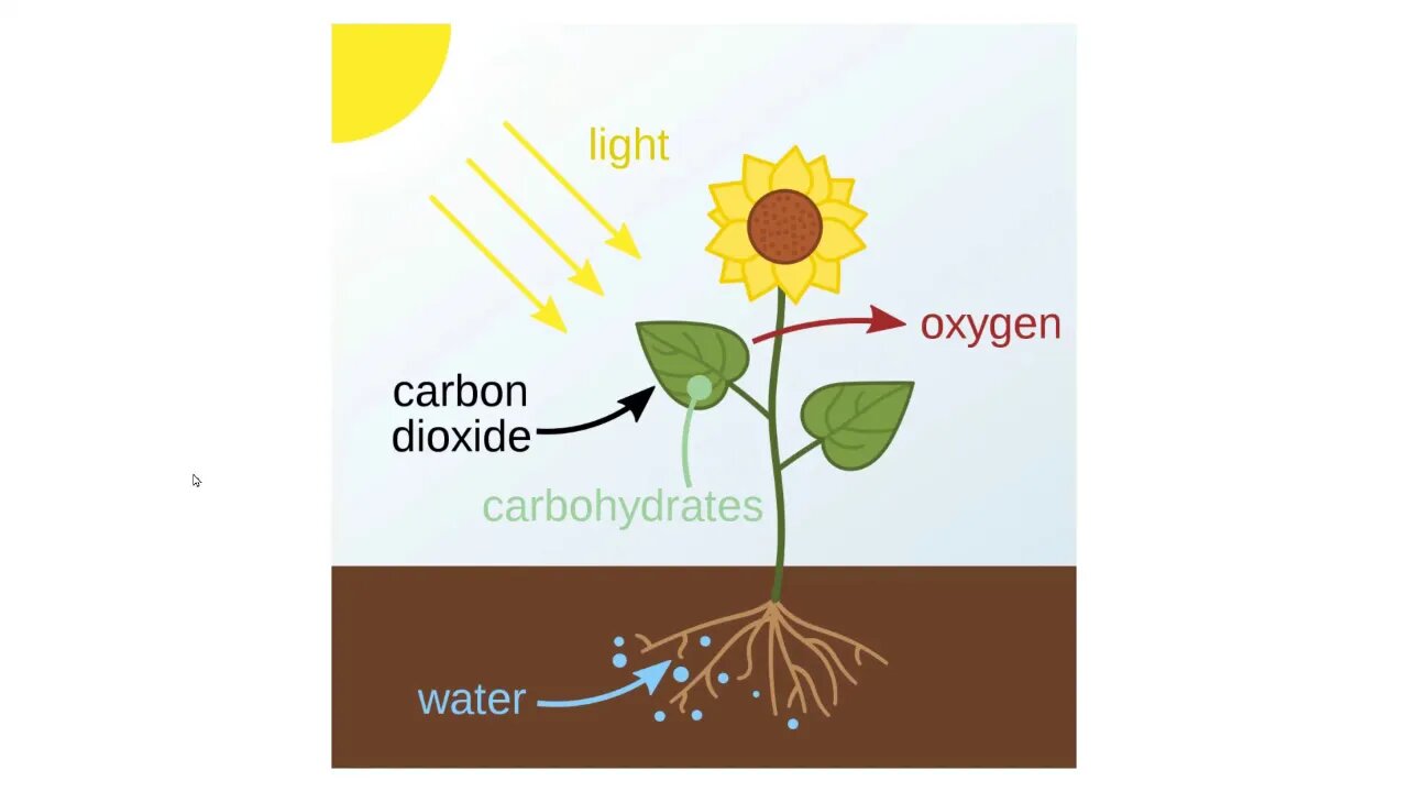 You Can't Fool Mother Nature