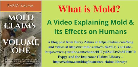 What is Mold?